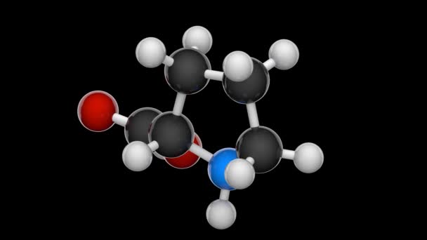 563 Amino acid Videos, Royalty-free Stock Amino acid Footage | Depositphotos 563 Amino acid Videos, Royalty-free Stock Amino acid Footage | Depositphotos