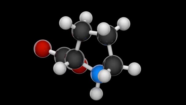 Prolina Símbolo Pro Aminoácido Cíclico Não Essencial Humanos Fórmula C5H9No2 — Vídeo de Stock