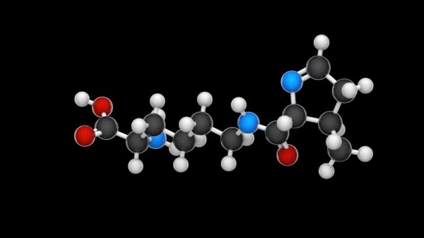 Pirrolisina Símbolo Pyl Compuesto Orgánico Con Fórmula Molecular Química C12H21N3O3 — Vídeo de stock