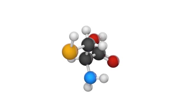 Selenocysteine Sembol Sec Veya Proteojenik Amino Asittir Formül C3H7No2Se Boyutlu — Stok video