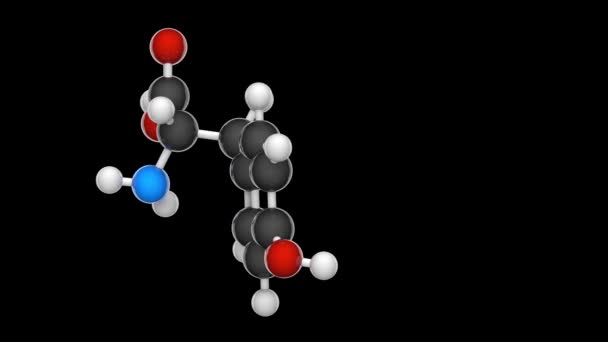 Tyrosine或Tyrosine 编号Tyr或Y 是一种氨基酸 被细胞用来合成蛋白质 方程式 C9H11No3 3D渲染 无缝圈 Rgb Alpha — 图库视频影像