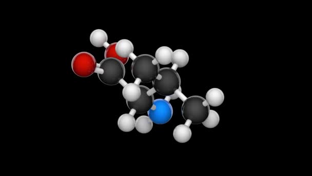 Valine Symbol Val Eller Aminosyra Som Används Vid Proteiners Biosyntes — Stockvideo