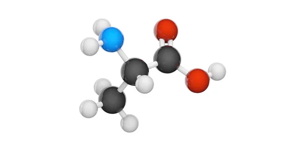 丙氨酸 Alanine 缩写为Ala或A 是人类体内一种小的非必需氨基酸 分子式 C3H7No2 3D插图 化学结构模型 球和棒 因白人背景而被隔离 — 图库照片