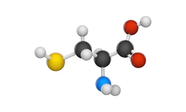 Cisteína Símbolo Cys Aminoácido Proteinogénico Semiesencial Fórmula C3H7No2S Ilustración Modelo — Foto de Stock