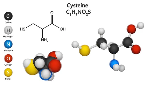 Cisteína Símbolo Cys Aminoácido Proteinogénico Semiesencial Fórmula C3H7No2S Ilustración Modelo — Foto de Stock