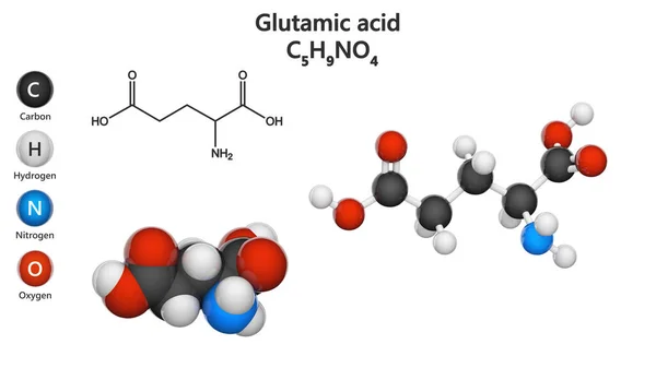Ácido Glutámico Glu También Conocido Como Glutamato Uno Los Aminoácidos — Foto de Stock