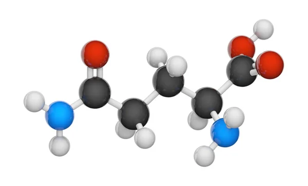 谷氨酰胺 Glutamine 符号Gln或Q 是一种氨基酸 用于蛋白质的生物合成 方程式 C5H10N2O3 3D插图 化学结构模型 球和棒 — 图库照片