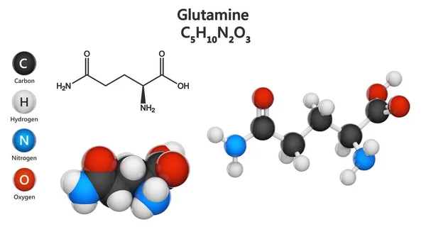 Glutamina Símbolo Gln Aminoácido Que Utiliza Biosíntesis Las Proteínas Fórmula — Foto de Stock