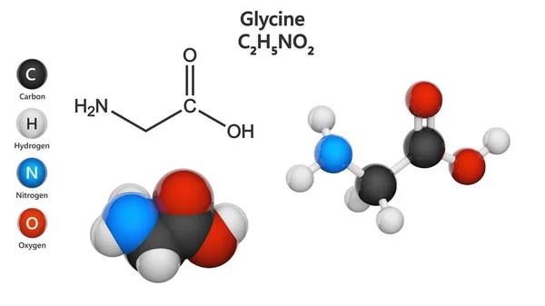 Glicina Símbolo Gly Encuentra Principalmente Gelatina Utiliza Terapéuticamente Como Nutriente — Foto de Stock