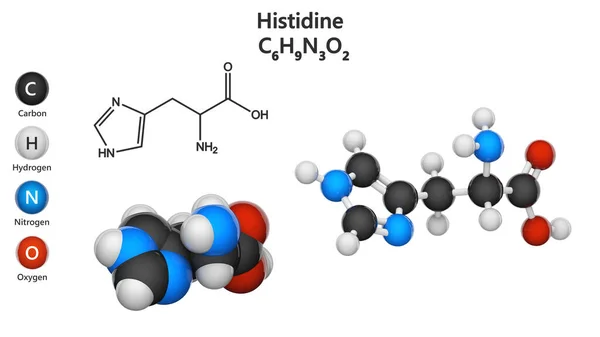 Histidina Símbolo His Aminoácido Que Utiliza Biosíntesis Las Proteínas Fórmula — Foto de Stock