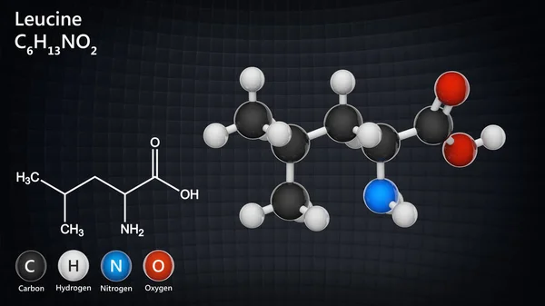 Leucina Símbolo Leu Aminoácido Essencial Que Usado Biossíntese Proteínas Fórmula — Fotografia de Stock