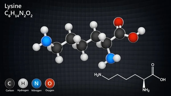 Lisina Símbolo Lys Aminoácido Que Usado Biossíntese Proteínas Fórmula C6H14N2O2 — Fotografia de Stock