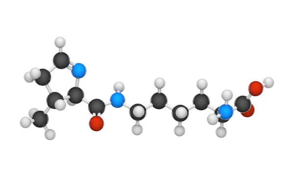 Pyrrolysine 缩写Pyl或O 是一种有机化合物 分子式为C12H21N3O3 3D插图 化学结构模型 球和棒 因白人背景而被隔离 — 图库照片