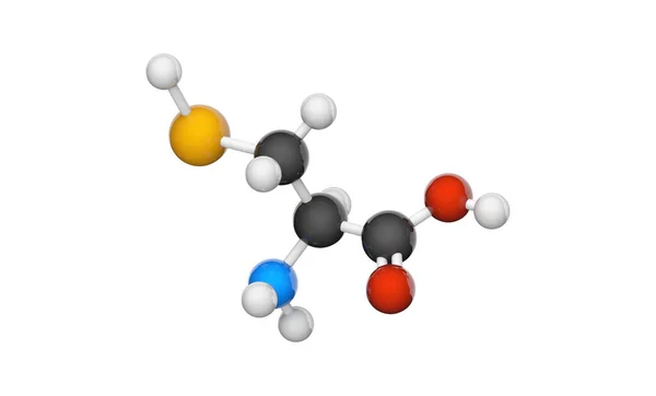 Selenocystein Symbol Sec Eller Den Proteinogena Aminosyran Formel C3H7No2Se Illustration — Stockfoto