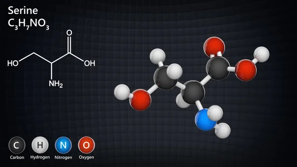 Serine Symbol Ser Eller Aminosyra Som Används Biosyntesen Proteiner Formel Stockfoto