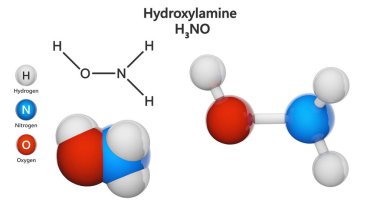 Hidroksilamin (Azinöz asit, Aminol, Azanol, Hidroksilazan, Nitrinöz asit), formül NH2OH veya H3NO. Üç boyutlu illüstrasyon. Kimyasal yapı modeli: Top ve Çubuk + Boşluk doldurma. Beyaz arkaplan.