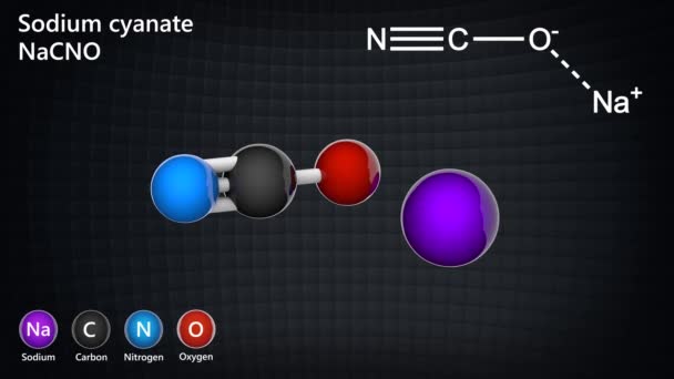 シアネートナトリウム NacnoまたはCnnao は白色の結晶性固体である 3Dレンダリング シームレスなループだ 化学構造モデル ボールと棒 — ストック動画