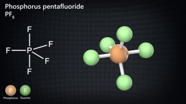 Fosfor pentaflorür (Fosfor (V) florür), formül PF5 veya F5P. Renksiz, zehirli bir gazdır. 3 boyutlu görüntüleme. Kusursuz döngü. Kimyasal yapı modeli: Top ve Sopa.
