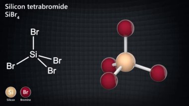 Silikon tetrabromid (IV) bromit formülü Sibr4 veya Br4Si olan bir inorganik bileşiktir. 3 boyutlu görüntüleme. Kusursuz döngü. Kimyasal yapı modeli: Top ve Sopa.