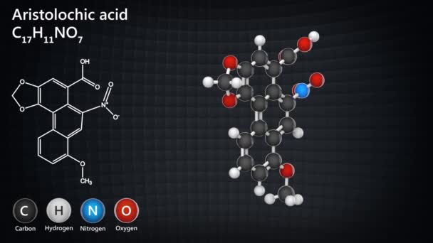 Aristolochic Acid Aristinic Acid Commonly Found Plant Family Aristolochiaceae Birthworts — Stock Video