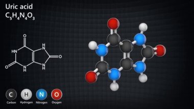 Ürik asit. C5H4N4O3. İdrar ve asit olarak bilinen iyonları ve tuzu oluşturur. 3 boyutlu görüntüleme. Kusursuz döngü. Kimyasal yapı modeli: Top ve Sopa.