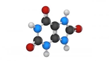 Ürik asit. C5H4N4O3. İdrar ve asit olarak bilinen iyonları ve tuzu oluşturur. 3 boyutlu görüntüleme. Kusursuz döngü. Kimyasal yapı modeli, top ve sopa. Beyaz arkaplan