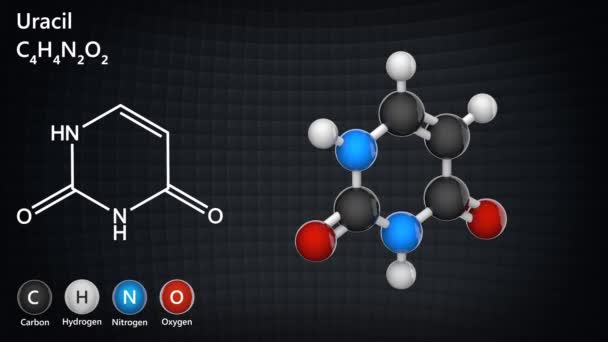 Uracil Estrutura Molecular Base Nitrogenada Partes Dna Rna Fórmula C4H4N2O2 — Vídeo de Stock