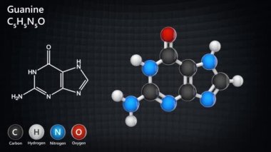 Guanine 'in kimyasal yapısal formülü ve modeli. Nitrojen bazlı moleküler yapı (DNA ve RNA parçaları). C5H5N50. 3 boyutlu görüntüleme. Kusursuz döngü. Kimyasal yapı modeli: Top ve Sopa.
