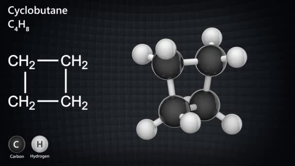 Fórmula Química Estructural Estructura Molecular Del Ciclobutano C4H8 Representación Lazo — Vídeo de stock