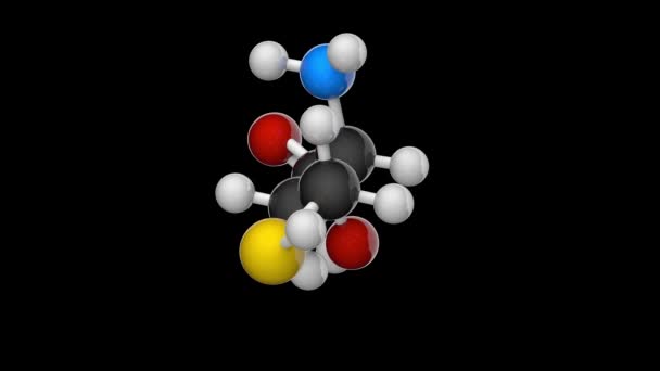 Homocysteine Hcy Amino Asidinin Kimyasal Yapısı Formül C4H9No2S Boyutlu Görüntüleme — Stok video