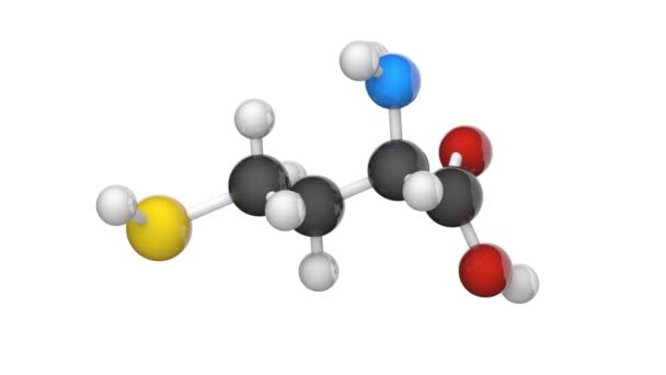 Chemische Struktur Der Homocystein Hcy Aminosäure Formel C4H9No2S Renderer Nahtlose — Stockvideo