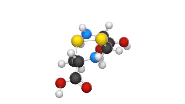 Fórmula Estructural Química Modelo Cistina Aminoácido Estándar Fórmula C6H12N2O4S2 Representación — Vídeo de stock