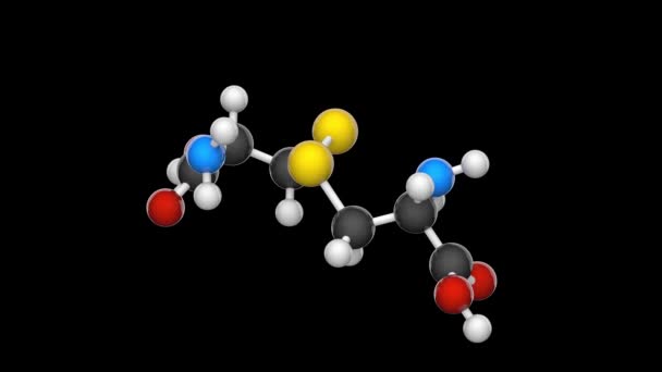 Chemical Structural Formula Model Cystine Non Standard Amino Acid Formula — Stock Video