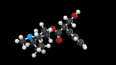 Atropin (Atropen), belli sinir gazlarının tedavisinde kullanılan bir ilaçtır. C17H23NO3. Kimyasal yapı modeli, top ve sopa. 3 boyutlu görüntüleme. Kusursuz döngü. Siyah arkaplan