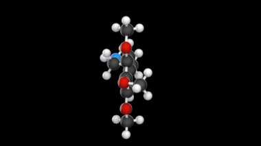 Meskalin (3,4,5-trimetoksifenetilamin) halüsinojenik etkileriyle bilinen doğal olarak ortaya çıkan bir psikedelik protoalkaloittir. Kimyasal yapı modeli, top ve sopa. 3 boyutlu görüntüleme. Kusursuz döngü.