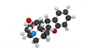 Skopolamin, ayrıca Hyoscine olarak da bilinir, hareket hastalığını tedavi etmek için kullanılan bir ilaçtır. Formül: C17H21NO4. Kimyasal yapı modeli, top ve sopa. 3 boyutlu görüntüleme. Kusursuz döngü. Beyaz arkaplan