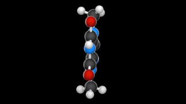 Theobromine (xantheose) kakao bitkisinin acı bir alkaloididir. C7H8N4O2. Kimyasal yapı modeli, top ve sopa. 3 boyutlu görüntüleme. Kusursuz döngü. Siyah arkaplan