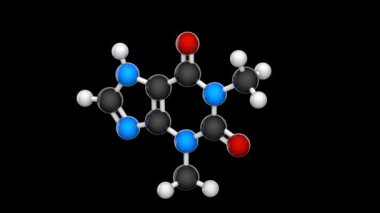 Theophylline (1,3-dimethylxanthine). Solunum hastalıkları tedavisinde kullanılır. C7H8N4O2. Kimyasal yapı modeli, top ve sopa. 3 boyutlu görüntüleme. Kusursuz döngü. RGB + Alpha (Şeffaf) kanalı