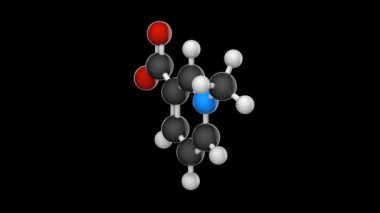 Trigonelline (Coffear, Gynesine, Trigenolline) kimyasal formülü C7H7NO2 olan bir alkaloittir. Kimyasal yapı modeli, top ve sopa. 3 boyutlu görüntüleme. Kusursuz döngü. RGB + Alpha (Şeffaf) kanalı