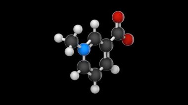 Trigonelline (Coffear, Gynesine, Trigenolline) kimyasal formülü C7H7NO2 olan bir alkaloittir. Kimyasal yapı modeli, top ve sopa. 3 boyutlu görüntüleme. Kusursuz döngü. Siyah arkaplan