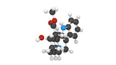 Yohimbine (quebrachine), Afrika ağaç kabuğu Pausinystalia Johimbe 'den türetilmiş bir indole alkaloittir. C21H26N2O3. Kimyasal yapı modeli, top ve sopa. 3 boyutlu görüntüleme. Kusursuz döngü.