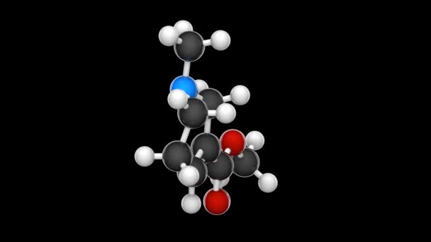 丙烯酰胺是一种以尼古丁酸为基础的温和刺激性生物碱 存在于槟榔仁中 化学结构模型 球和棒 3D渲染 无缝圈 黑色背景 — 图库视频影像