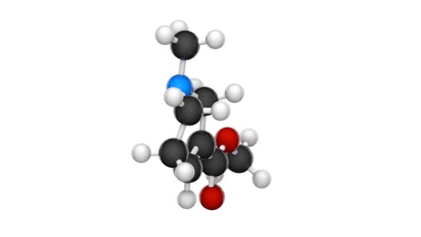 Arecolina C8H13No2 Alcaloide Estimulante Leve Base Ácido Nicotínico Encontrado Porca — Vídeo de Stock