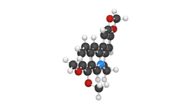 ベルベリン Berberine イソキノリンアルカロイドの四次アンモニウム塩で ベルベリスなどの植物に見られる C20H18No4 化学構造モデル ボールとスティック 3Dレンダリング シームレスなループ — ストック動画