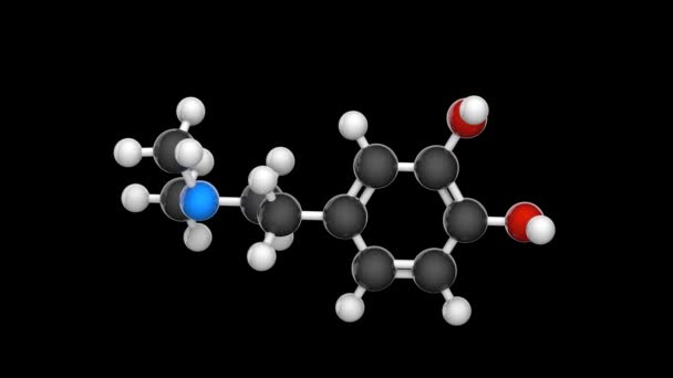 Dimetylodopamina Dmda Formuła C10H15No2 Jest Związkiem Organicznym Należącym Rodziny Fenetyloaminy — Wideo stockowe