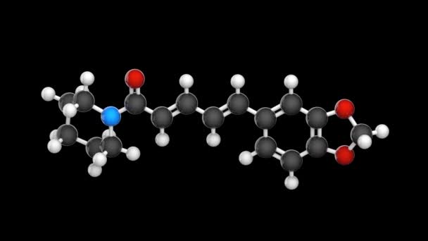 Piperina Alcaloide Responsable Picazón Pimienta Negra Pimienta Larga C17H19No3 Modelo — Vídeos de Stock