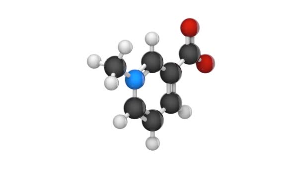 曲格奈琳 Coffearine Gynesine Trigenolline 是一种生物碱 化学式为C7H7No2 化学结构模型 球和棒 3D渲染 无缝圈 — 图库视频影像