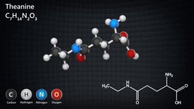 Theanine 'in 3 boyutlu yapısı (L-Theanine). Formül C7H14N2O3. 3 boyutlu görüntüleme. Kusursuz döngü. Kimyasal yapı modeli: Top ve Sopa.