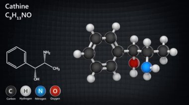 Cathine (norpseudoefedrine) uyarıcı molekülü. C9H13NO formülü. 3 boyutlu görüntüleme. Kusursuz döngü. Kimyasal yapı modeli: Top ve Sopa.