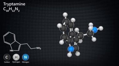 Tryptamine monoamin alkaloittir. Formül C10H12N2. 3 boyutlu görüntüleme. Kusursuz döngü. Kimyasal yapı modeli: Top ve Sopa.